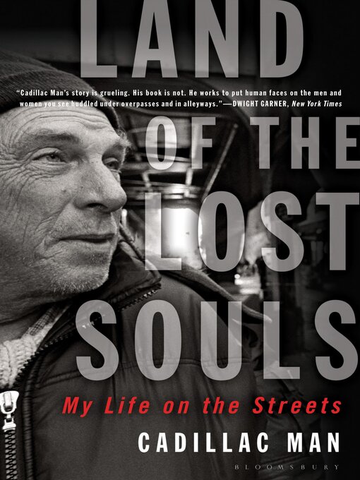 Cover image for Land of the Lost Souls